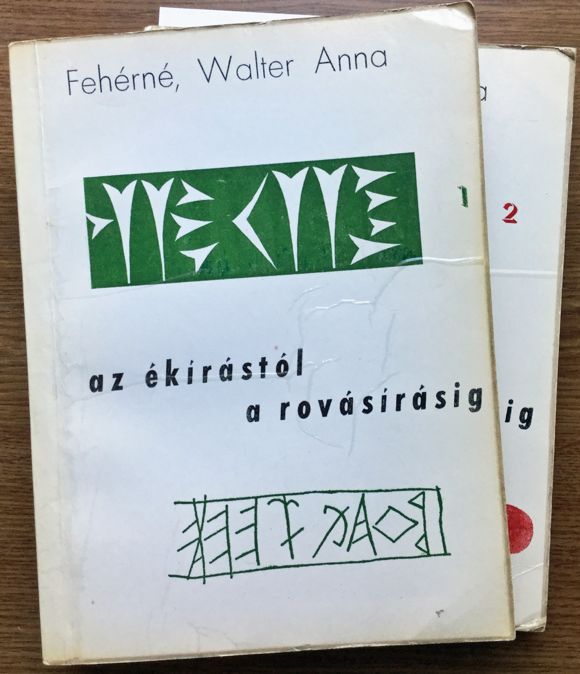 FEHÉRNÉ WALTER ANNA